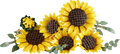 LEGO Botanicals Sunflower Bouquet | 11502