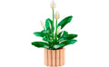 LEGO Botanicals Peace Lily | 11504