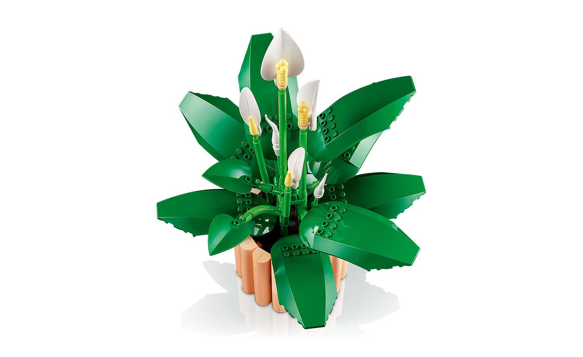 LEGO Botanicals Peace Lily | 11504