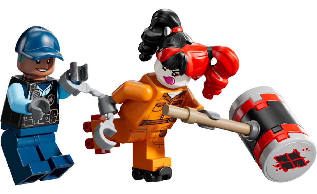 LEGO DC Arkham Asylum | 76300