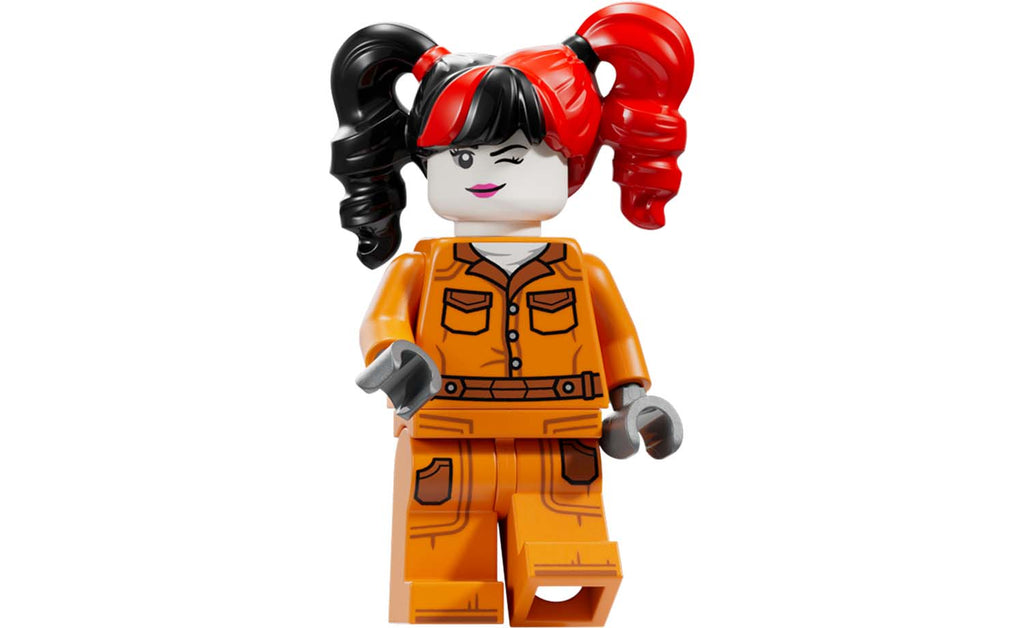 LEGO DC Arkham Asylum | 76300