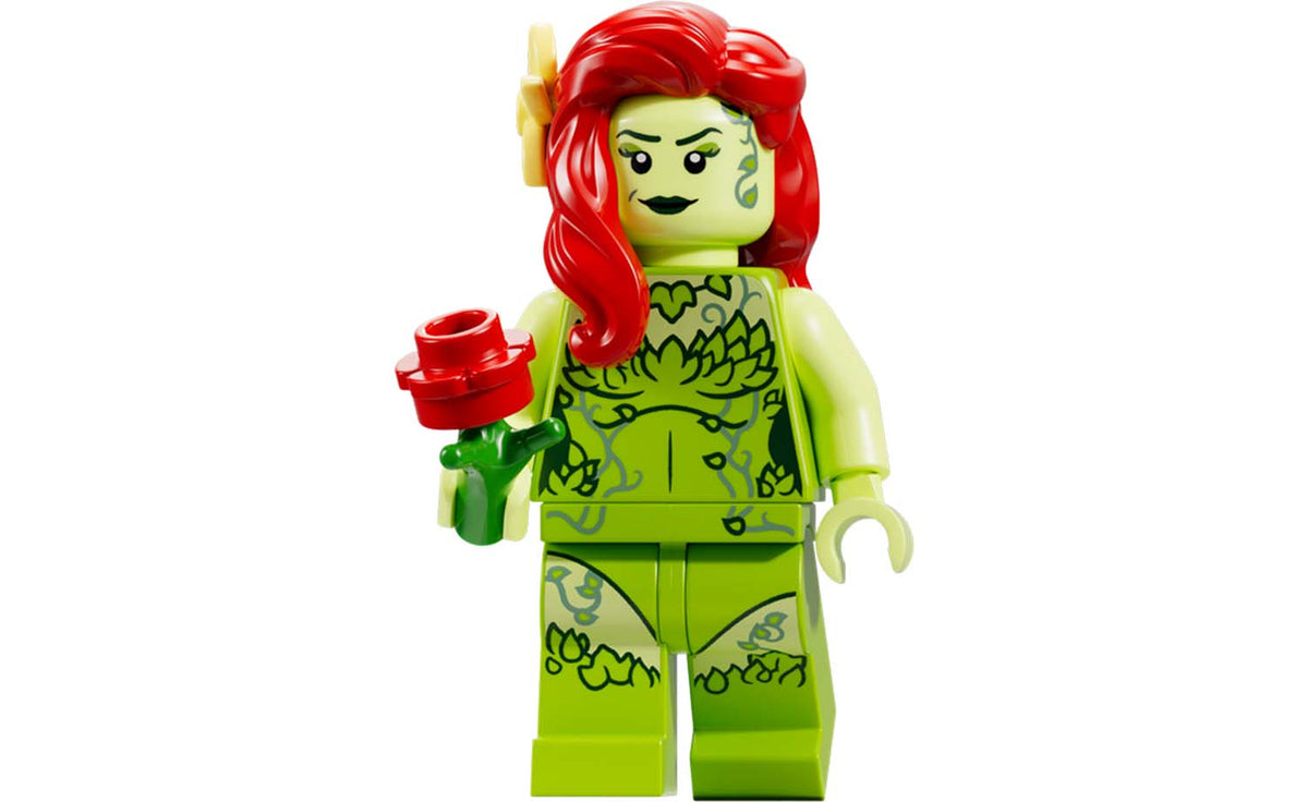 LEGO DC Arkham Asylum | 76300